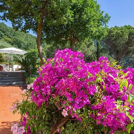 Meridiana Luxury Property In *